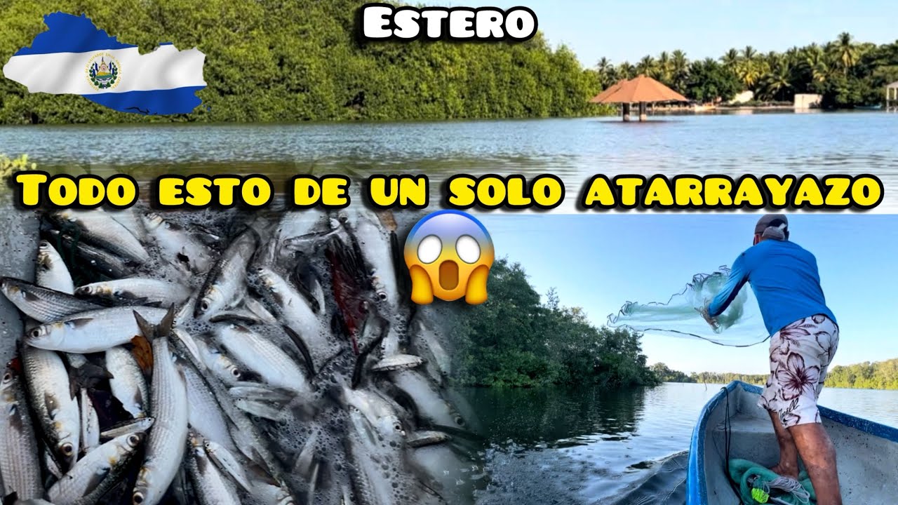 TODO esto PESCAMOS en este estero donde pocos se atreven a ir 😱🐠🐟 #elsalvador #pescaesportiva 
