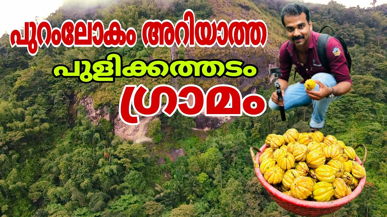 pulikathadam tamarind trees village |പുറംലോകമറിയാത്ത കുടംപുളികൾ മാത്രമുള്ള  പുളിക്കത്തടം ഗ്രാമം