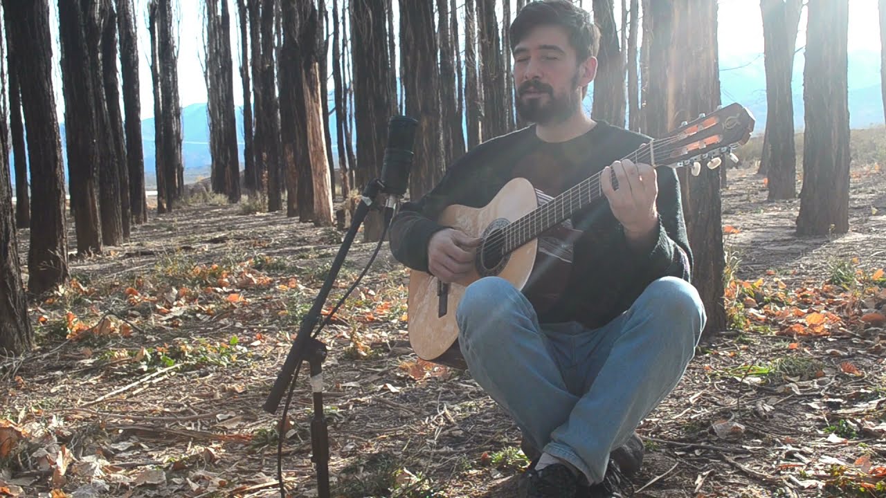 &Aacute;rbol de oto&ntilde;o - Ary Rodriguez
