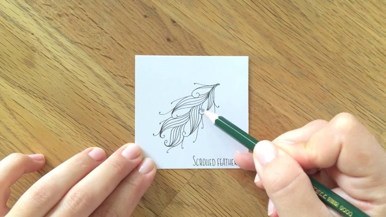 Zentangle® Muster: Scrolled Feather
