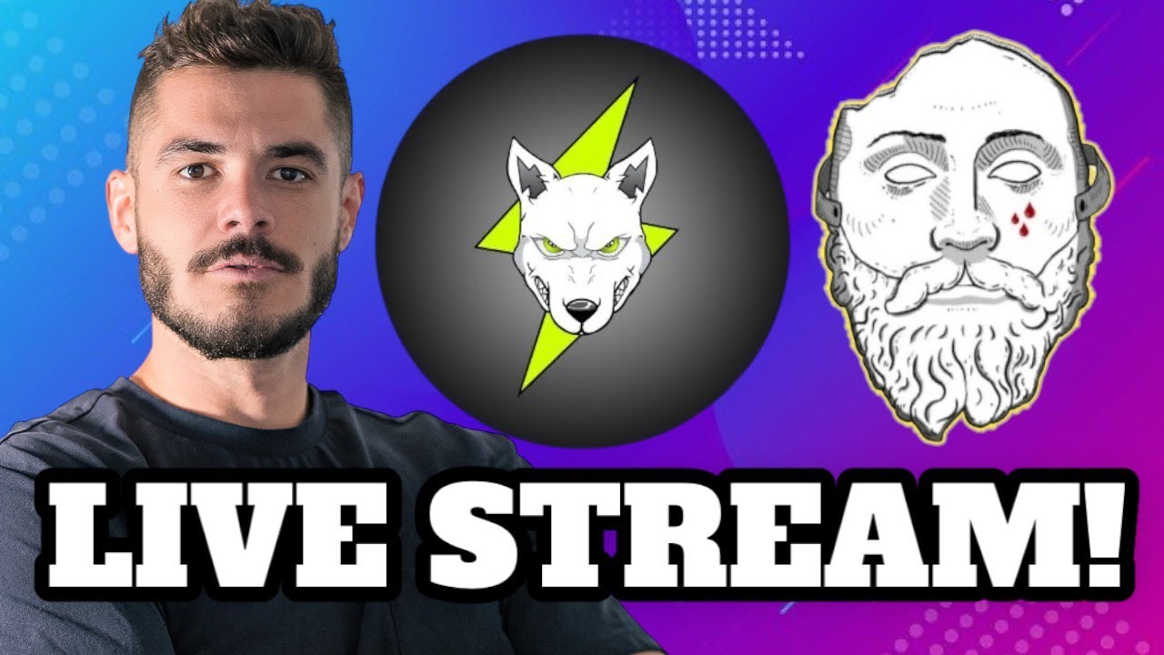 Volt Inu Massive Updates! Cult DAO Launching New Blockchain?!