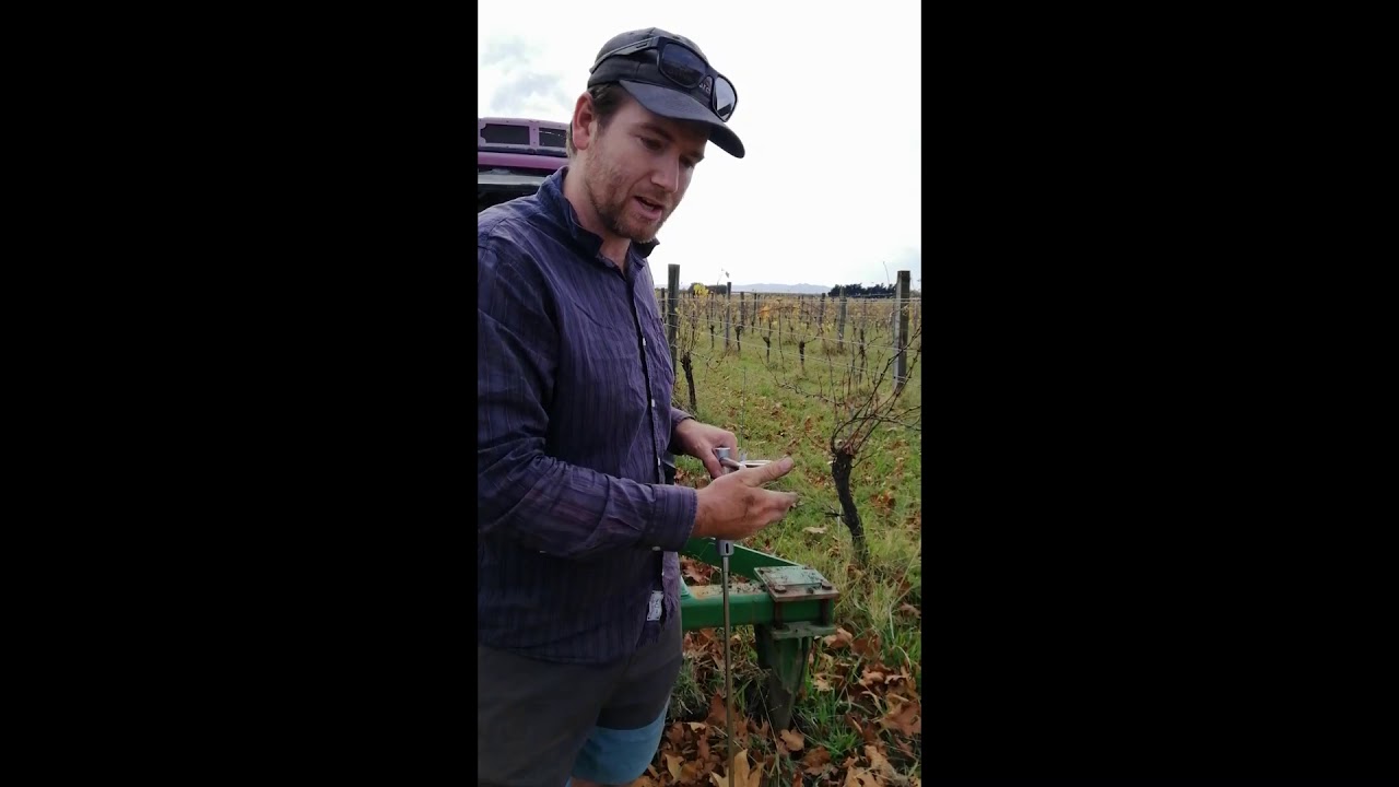 Ripping a Vineyard, How, When & Why. Reducing compaction, aerating the soil, helping with drainage.