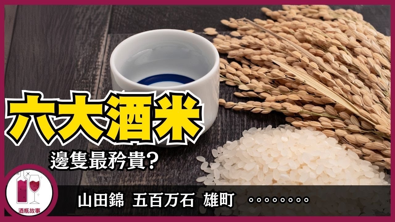 【清酒真相】唔係普通米！揭開6大酒米秘密(粵語中字)【酒瓶故事】