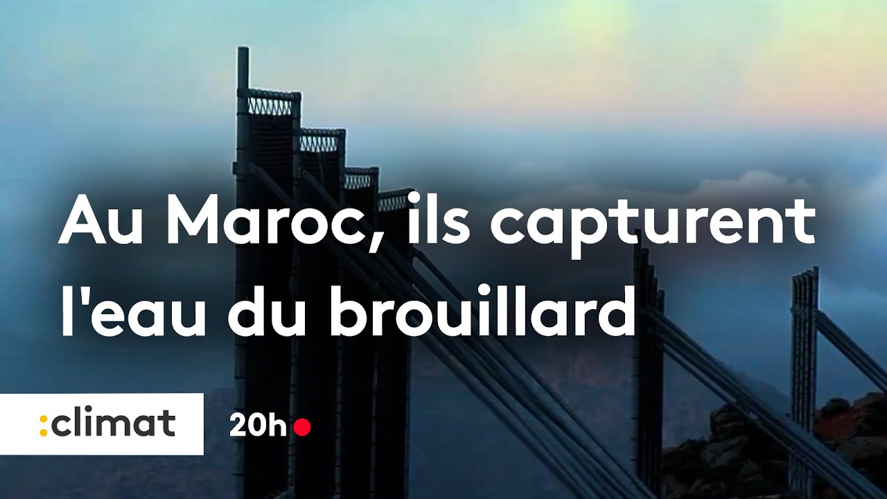 Au Maroc, ils capturent l’eau du brouillard