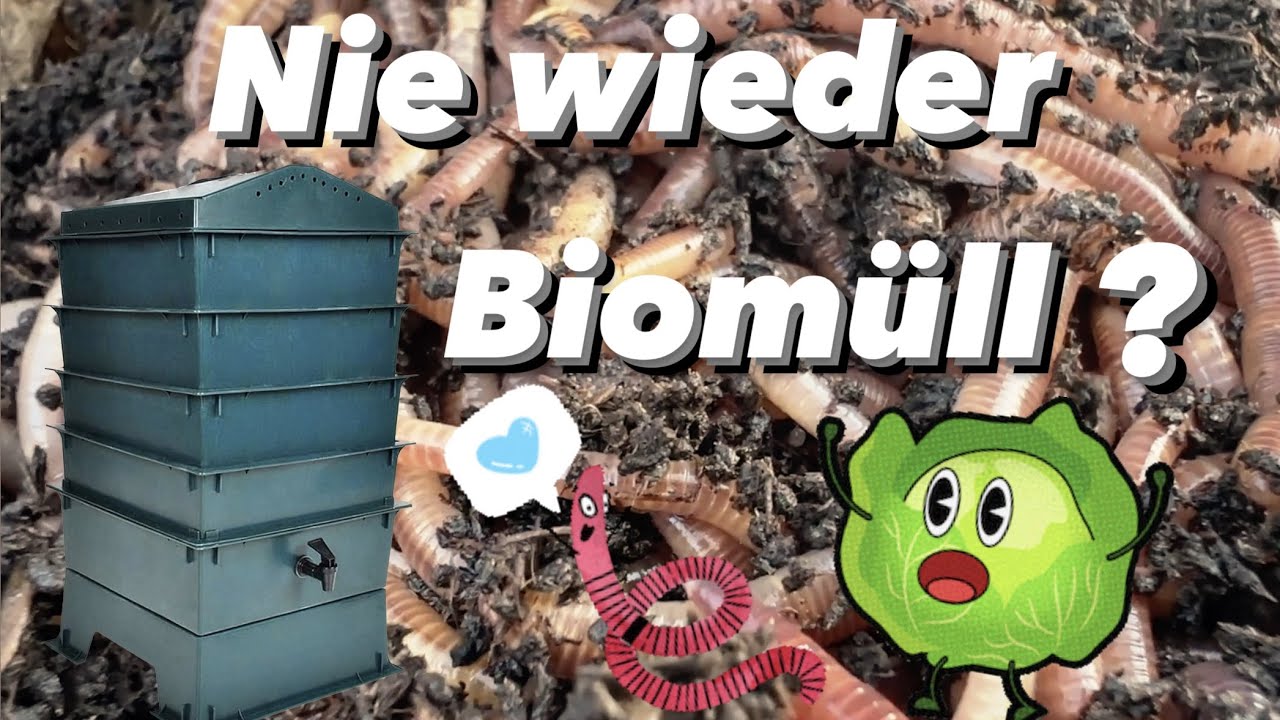 Nie wieder BIOMÜLL 🪱 mit der Wurmfarm/Wurmkiste