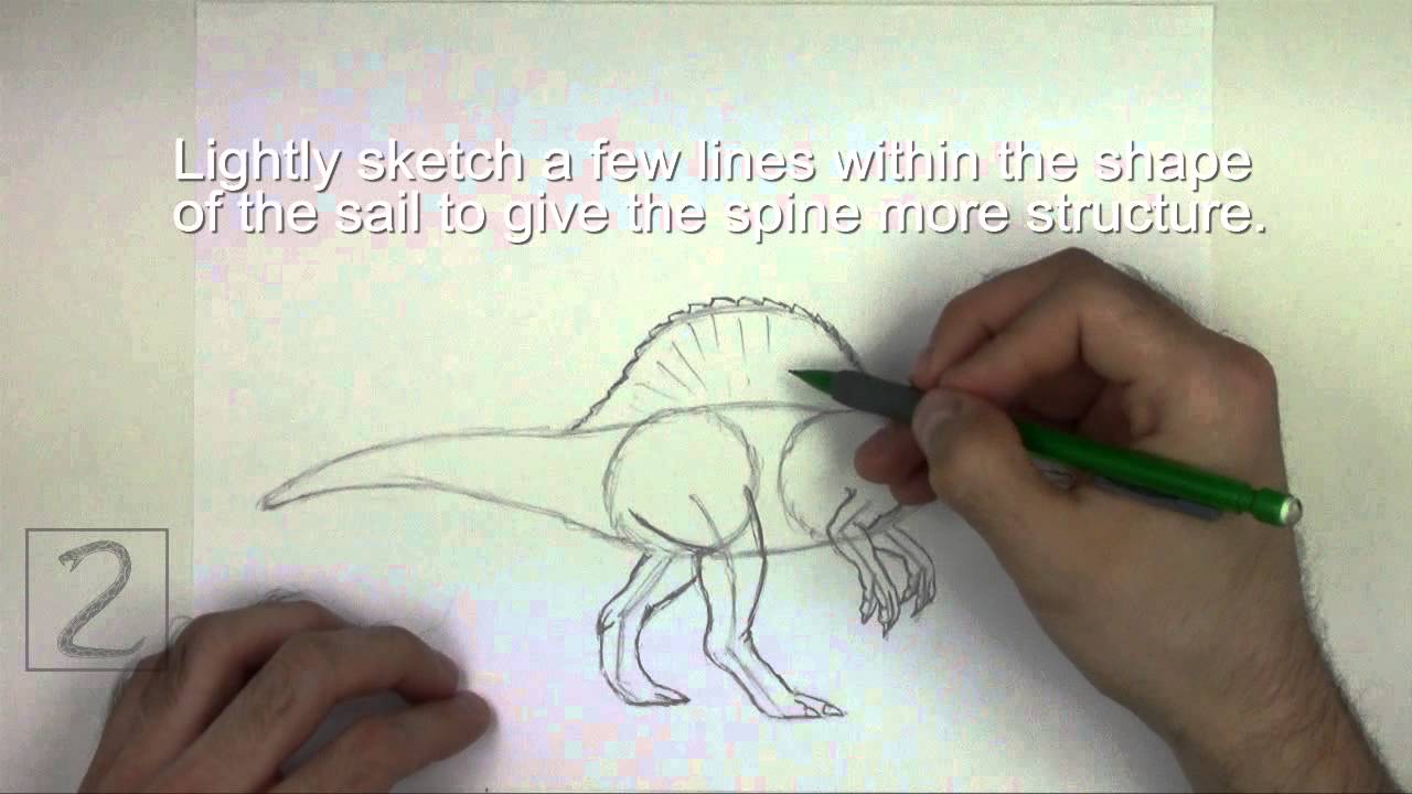 How to Draw a Spinosaurus