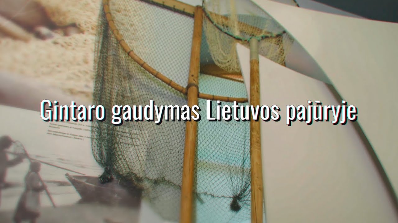Gintaro gaudymas Lietuvos pajūryje | Lietuvos kodas