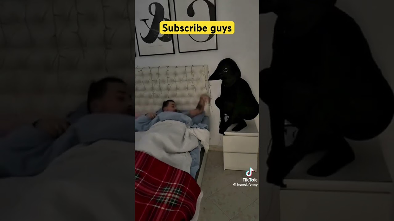 Scare prank on husband with a black crow 🤣🤣