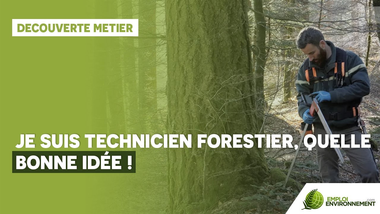 Je suis technicien forestier, quelle bonne idée !