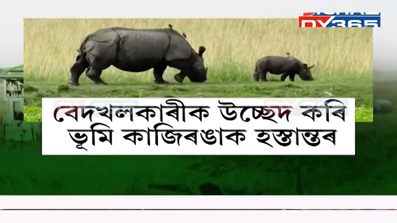নান্দনিক হৈ পৰিছে কাজিৰঙা ৰাষ্ট্ৰীয় উদ্যান