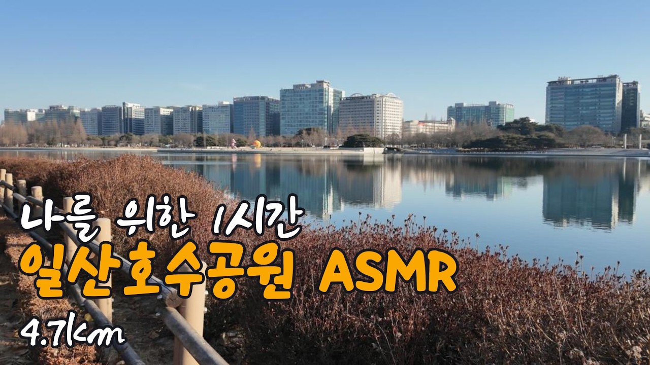 [4K] 도심 속 완벽한 휴식, 일산호수공원 걷기 여행ㅣ아침 일산호수공원의 새소리와 윤슬(NO MUSIC, ASMR)ㅣ고요함, 엠비언스 걷기 브이로그