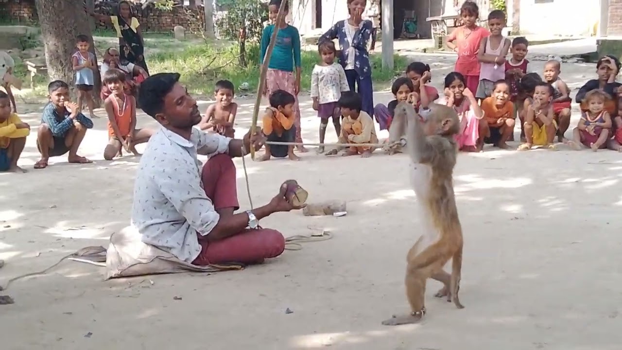 यह वीडियो लास्ट तक देखें लास्ट में देखो क्या होता है चैनल को सब्सक्राइब लाइक करना ना भूले