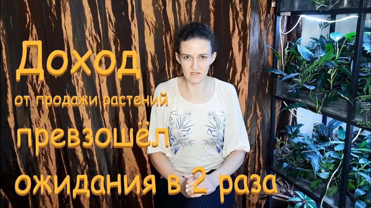 Доход от продажи растений превзошёл мои ожидания в 2 раза