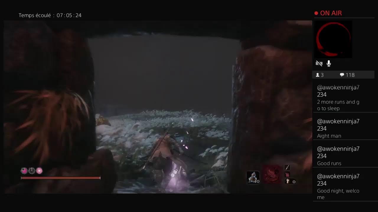 Sekiro...