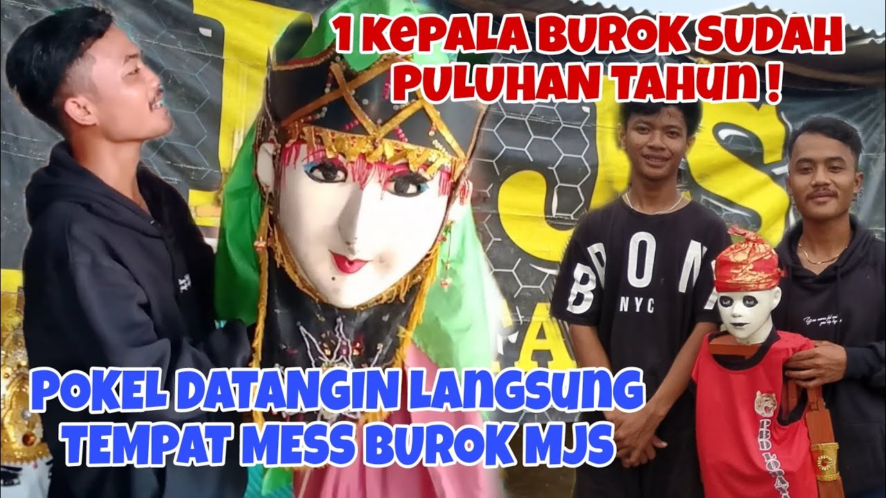 Datangin langsung tempat mess burok Mekar Jaya Sari ❗ 1 kepala burok bertahun tahun masih ada