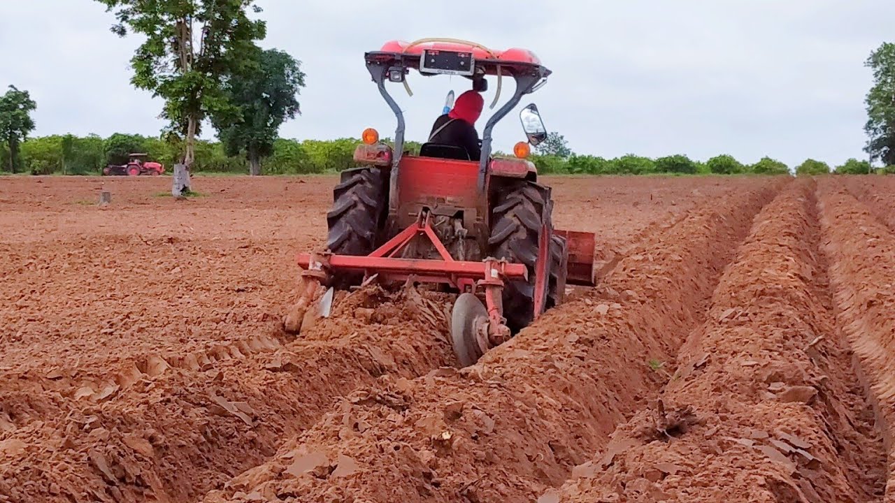 Tractor Kubota L 5018 Substitute for planting potatoes Beautiful with great technique #Ploueytractor