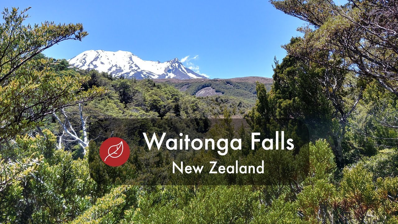 Waitonga Falls Track - New Zealand North Island Travel Hiking - 2019