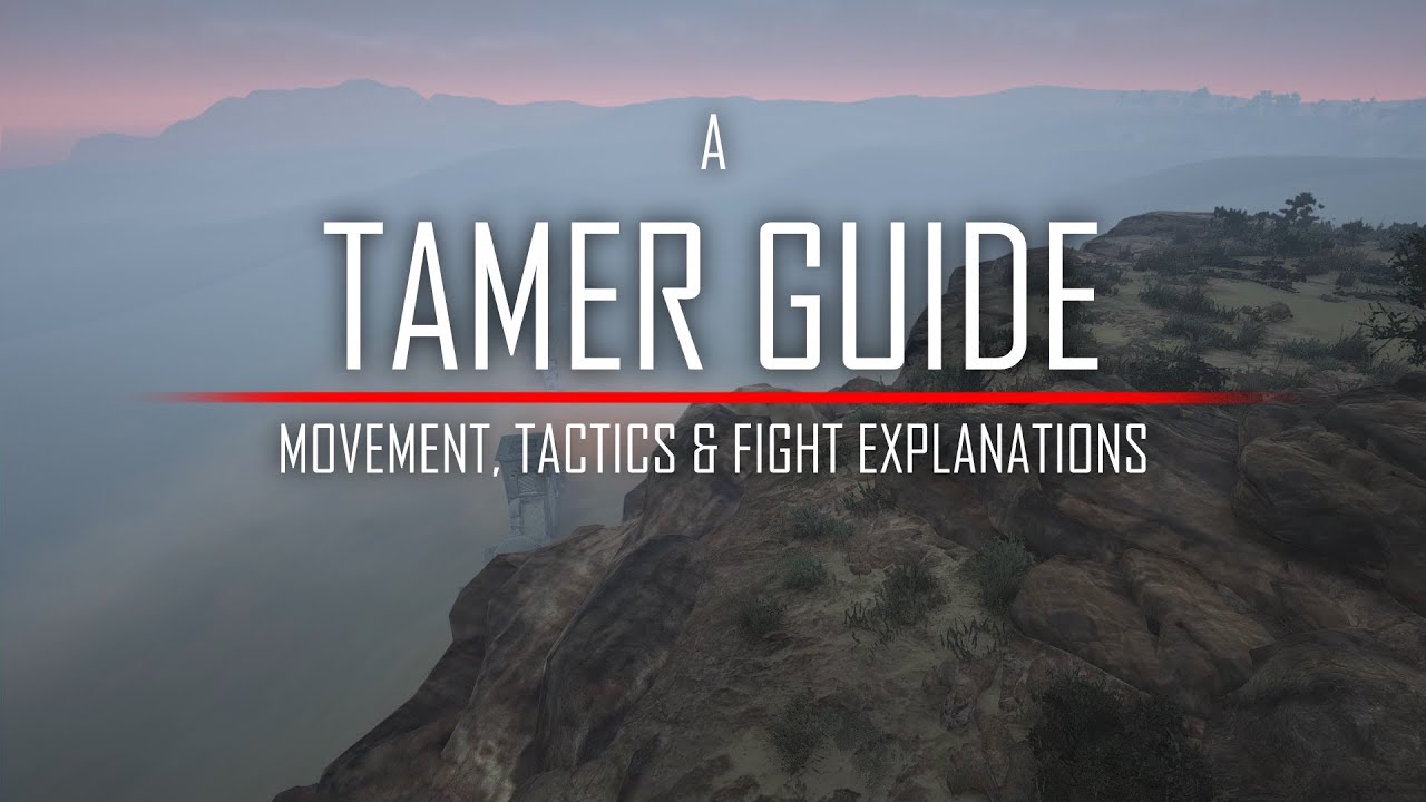 Tamer Combat Guide