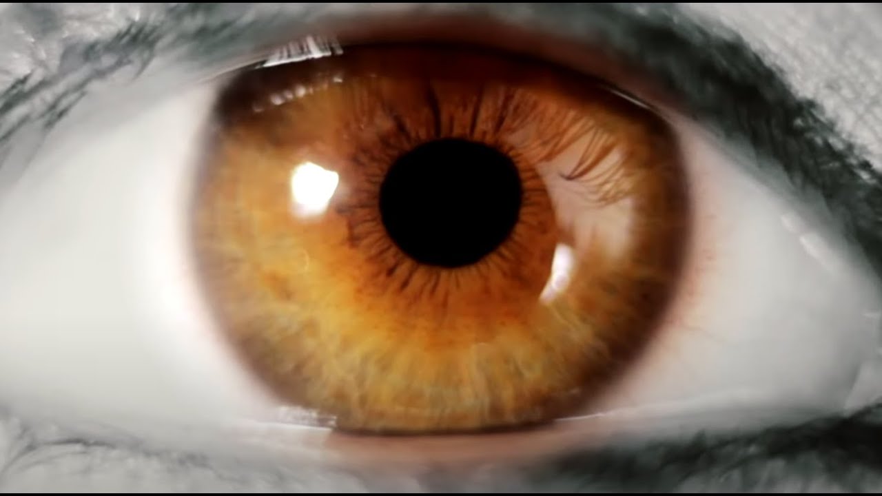 MADE FOR HUMANS 'Reincarnation'