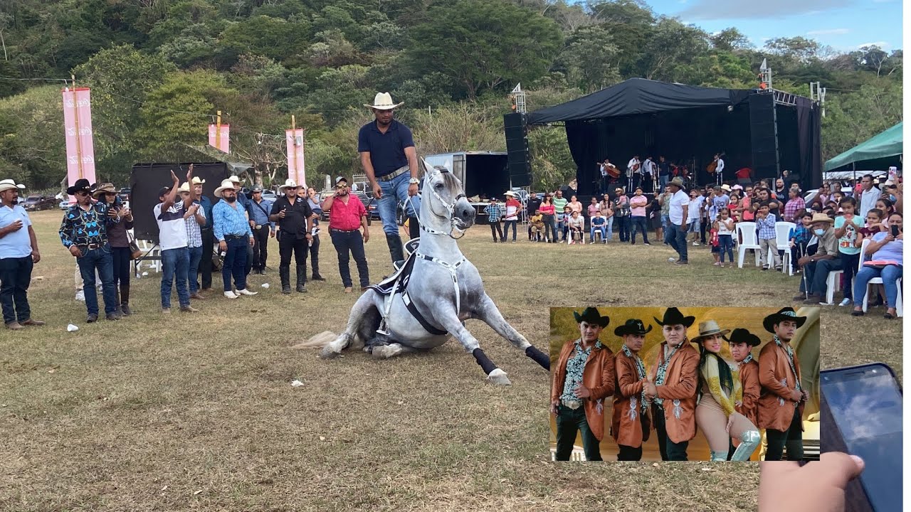 Carrera de cinta con la furria perrona de Él salvador