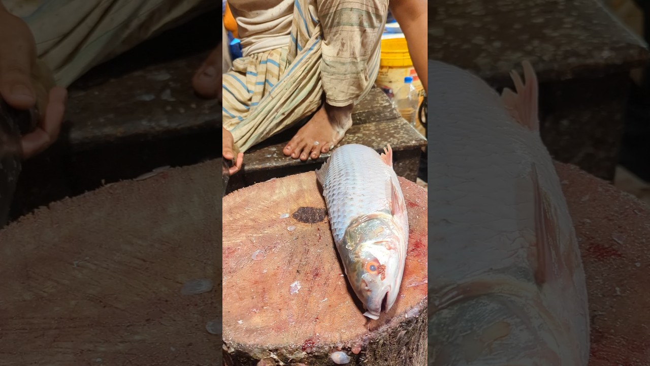 Amazing Mrigal Fish Cutting Skills live In#shortsso#shortsviral