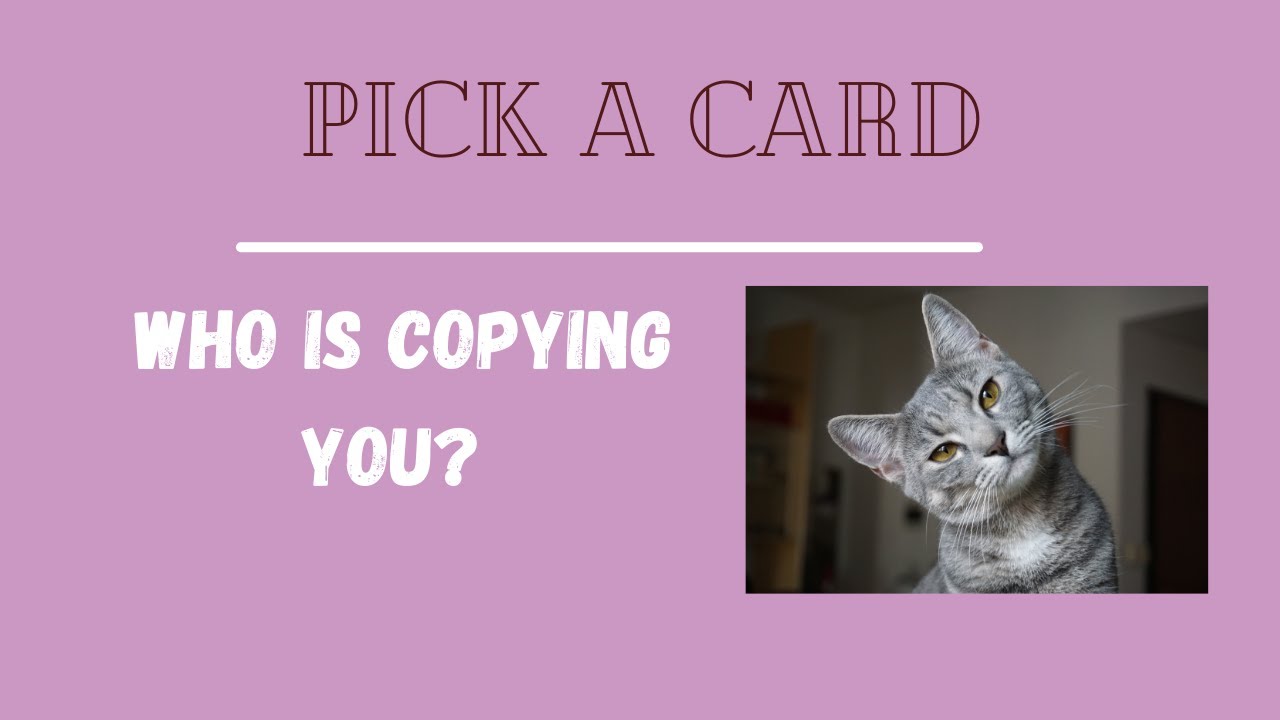 🐈‍⬛ Кто тебя копирует? 📖 Кто ворует твои крутые штучки и идеи? 📕 Выбери карту🧿