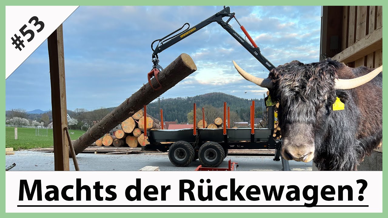 VLOG53: Verladen mit dem BMF 8T2-615 R&uuml;ckewagen auf die Wood Mizer LT15 Classic + Weideaustrieb