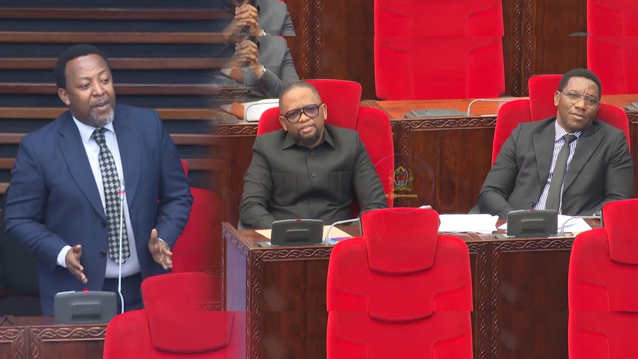 BABU TALE AOMBA MABADILIKO YA SHERIA MIKOPO YA WASANII “SIO KILA MSANII ANA NYUMBA”