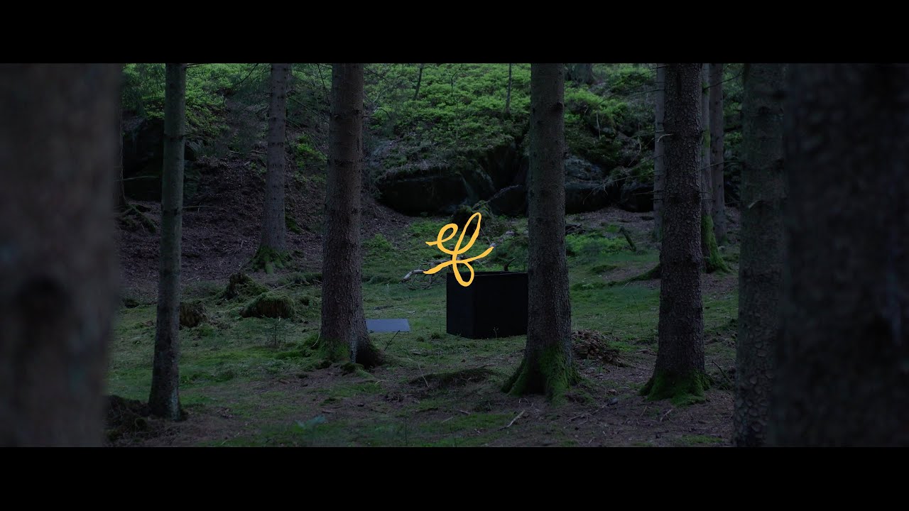 EF - Noll (20th Anniversary)