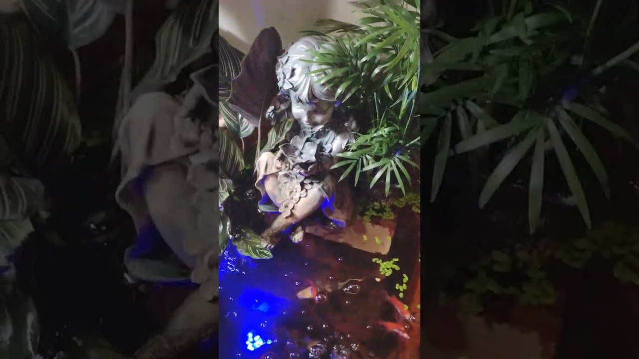 Mini Indoor Pond!