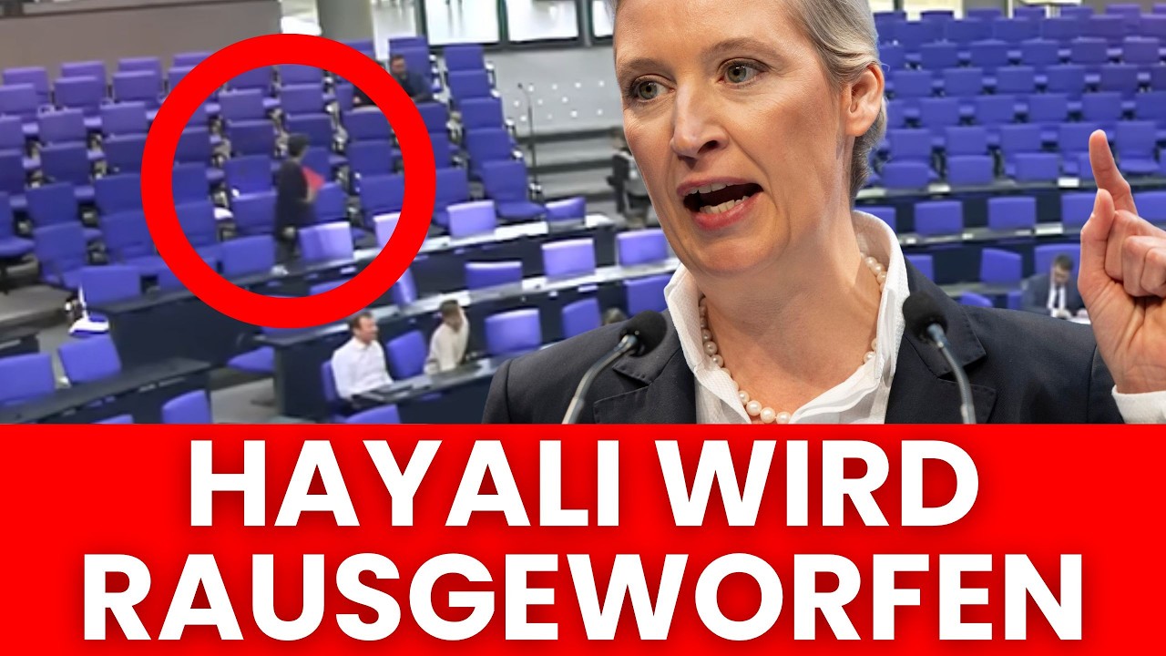 💥 HAYALI AUS BUNDESTAG GEWORFEN!? 😂 DAS WAR DER ANLASS!