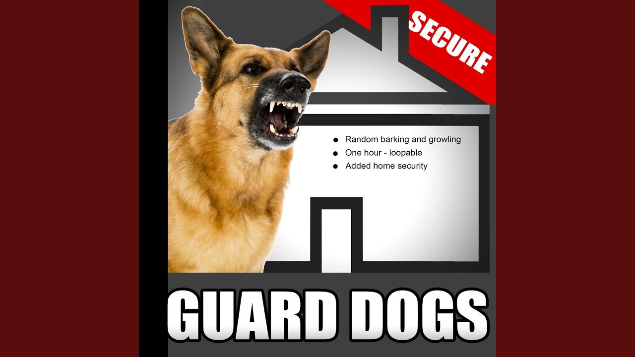 Guard Dogs &ndash; Random Barking and Growling Dog Sounds for Added Home Security When the House Is...