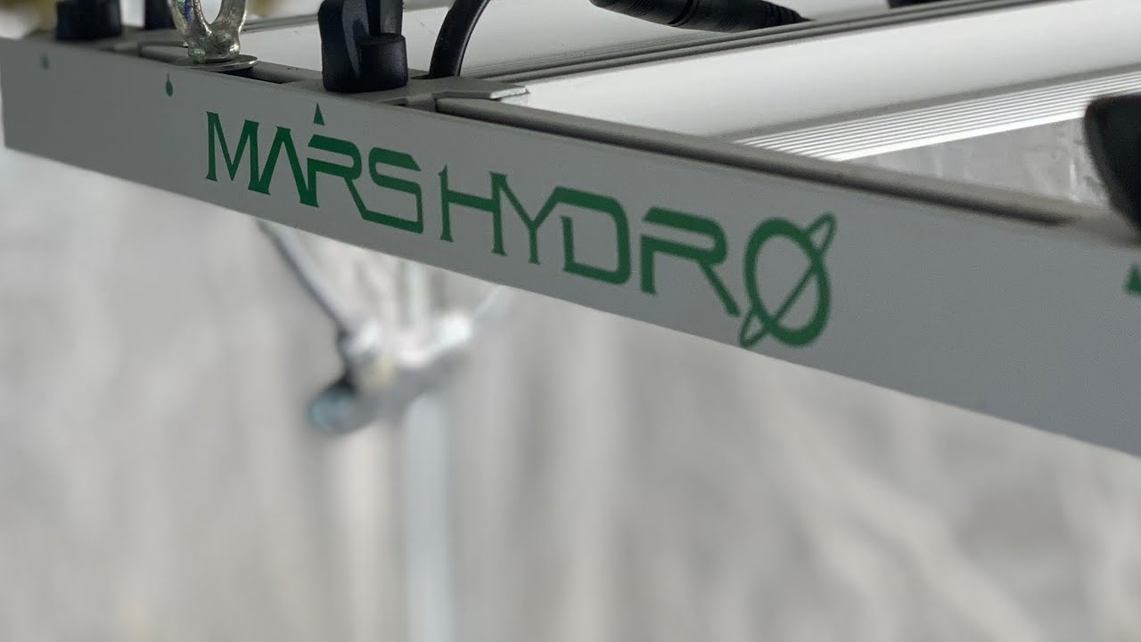 After the grow review of the Mars Hydro FC-E4800