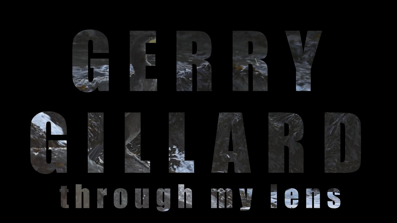 Through My Lens 03. Carnsew Pool, RSPB Hayle Estuary, Cornwall. Original Music by Gerry Gillard.