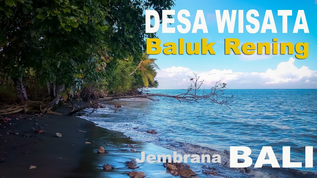 Desa Wisata Baluk Rening Negara - Jembrana Bali | Pesona Pantai Baluk