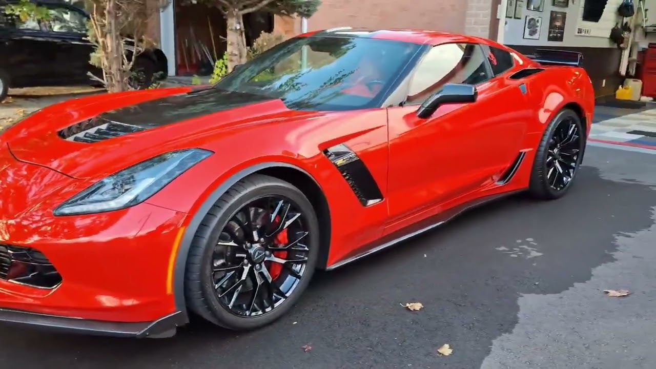 My Corvettes and Mustang