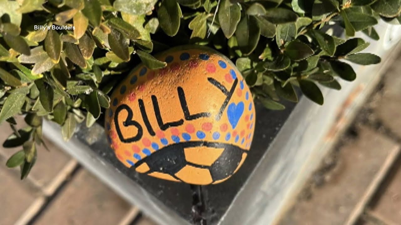 8-Year-Old's Memory Lives On Through Painted Rock Project