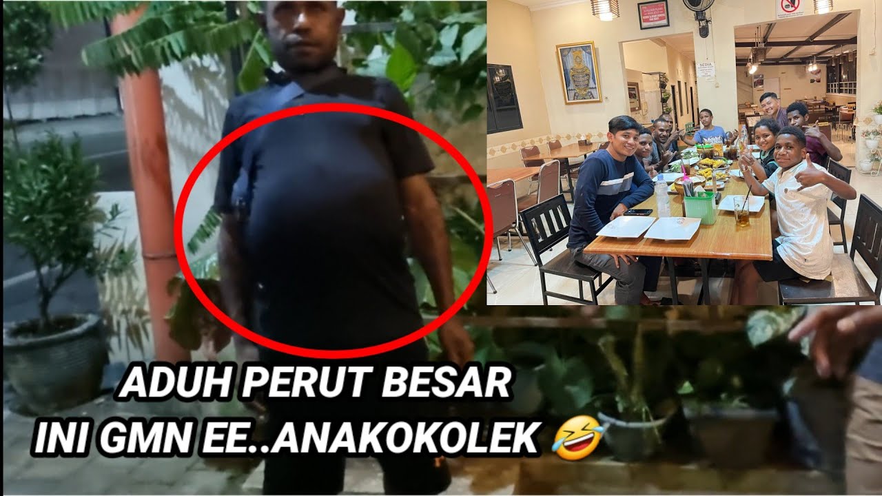 KOALA YAMUNGGURU MAKAN SMPAI PERUT BESAR DISOLO..