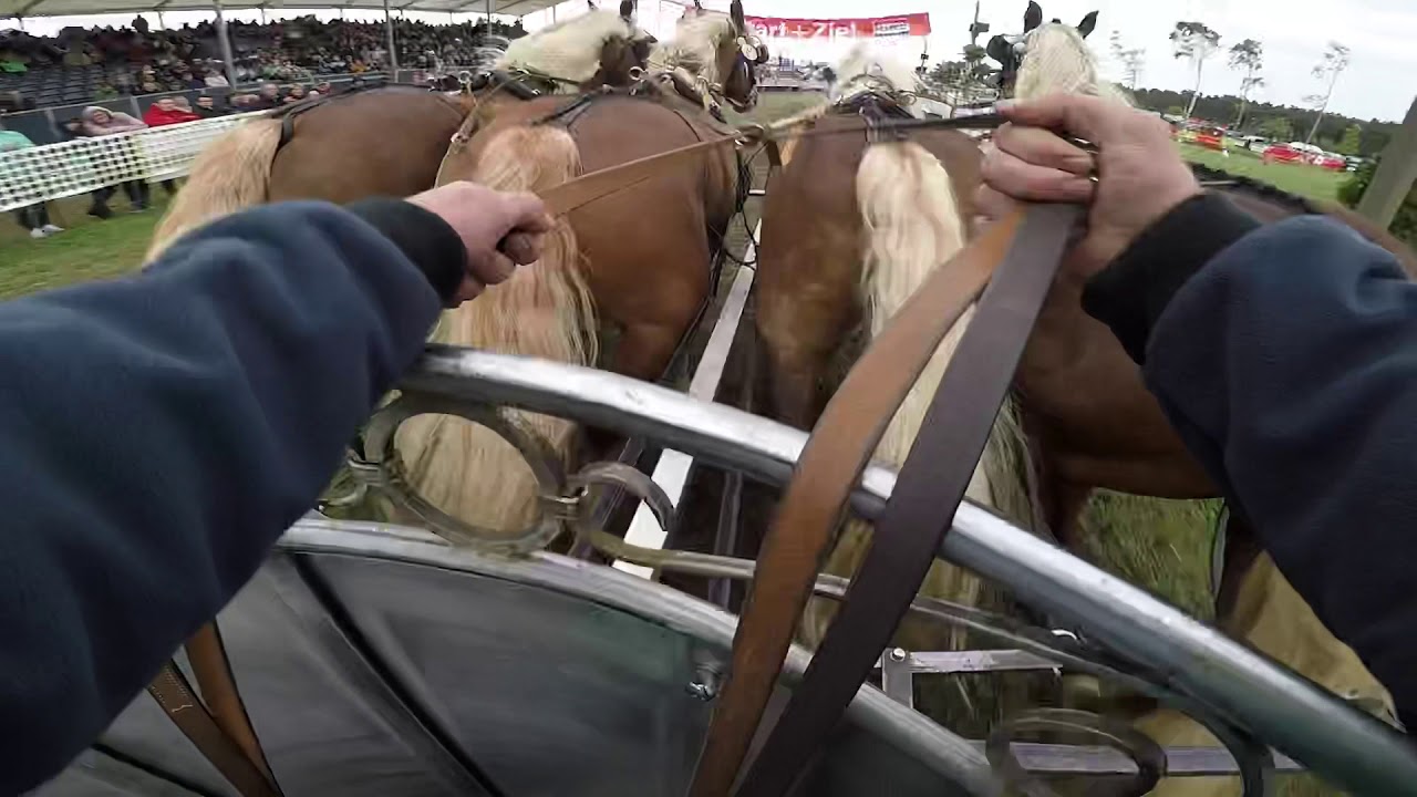 Römerwagenrennen Vierspänner 2018