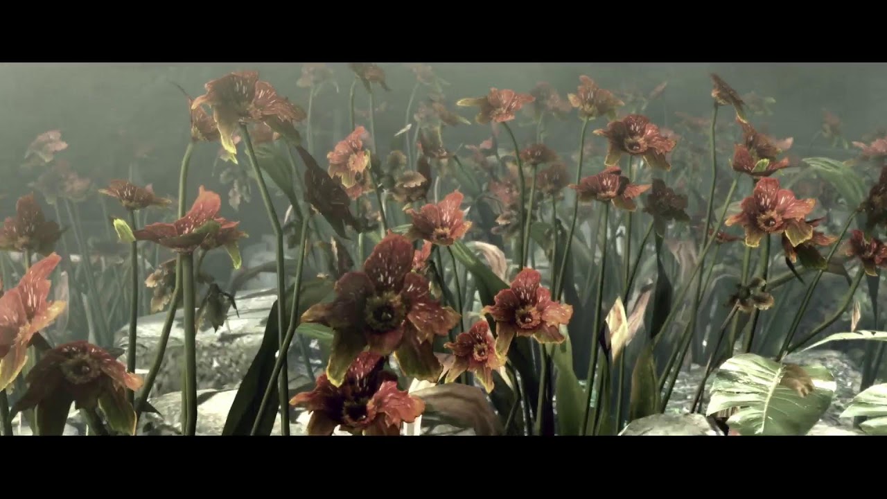 Resident Evil 5
