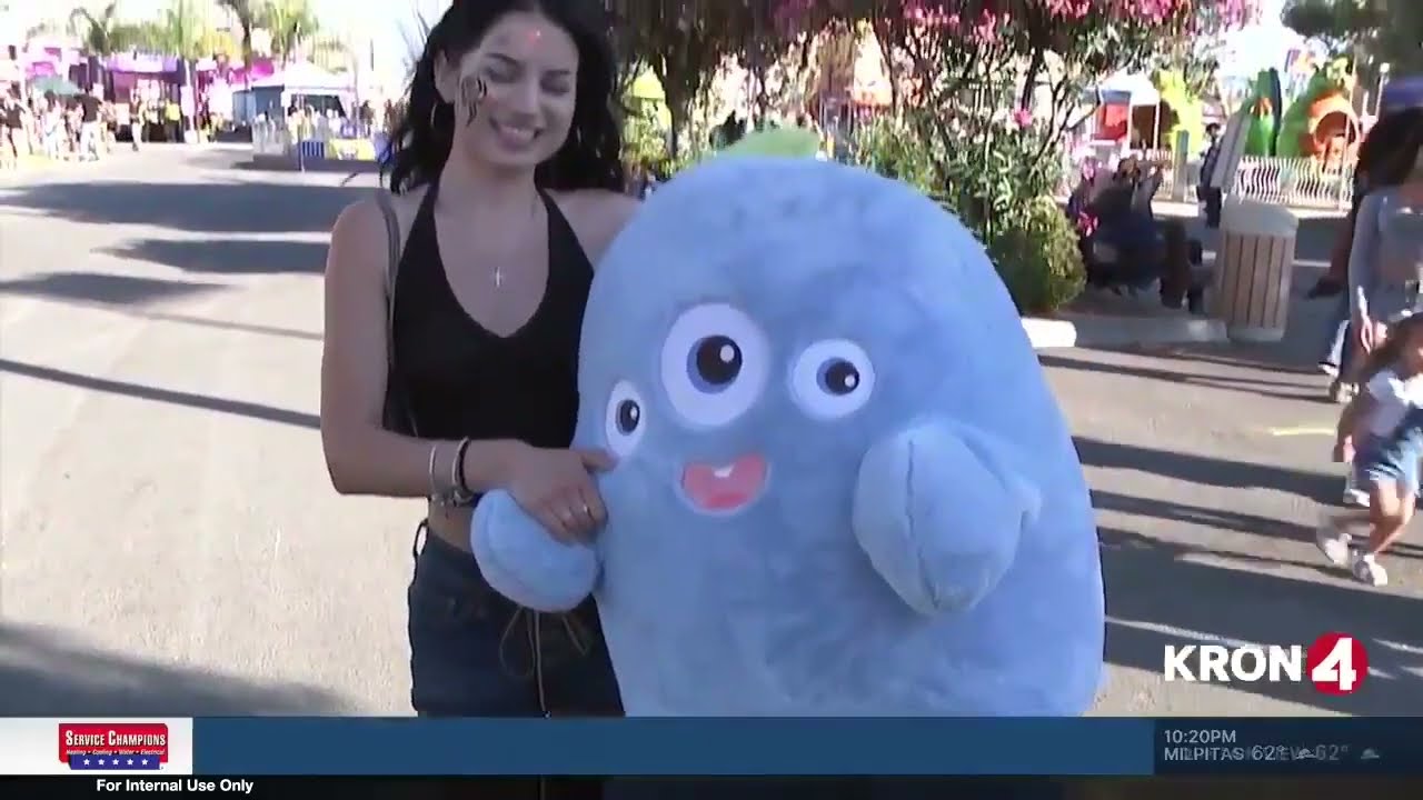 KRON4 News Reports on the 2025 Santa Clara County Fair