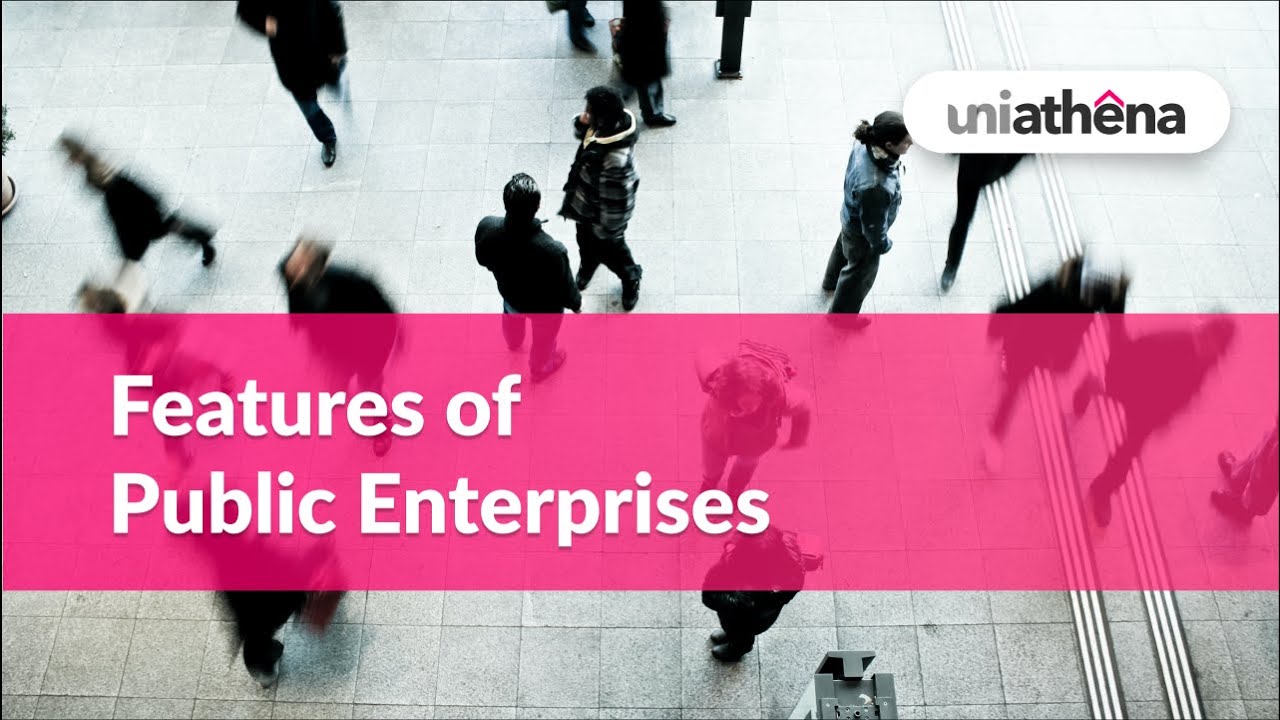 Features of Public Enterprises | Public Financial Institutions