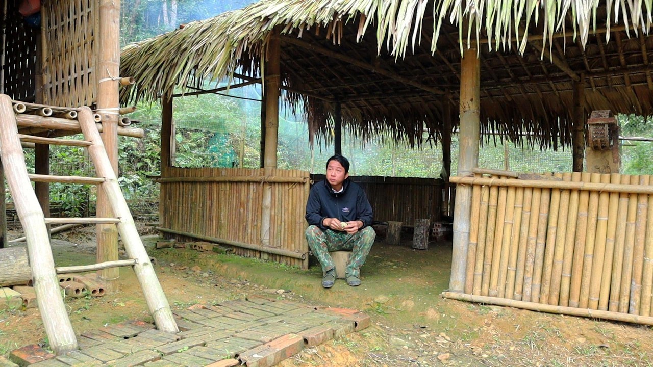 The Morning After My First Night in an Abandoned Hut | Solo Survival