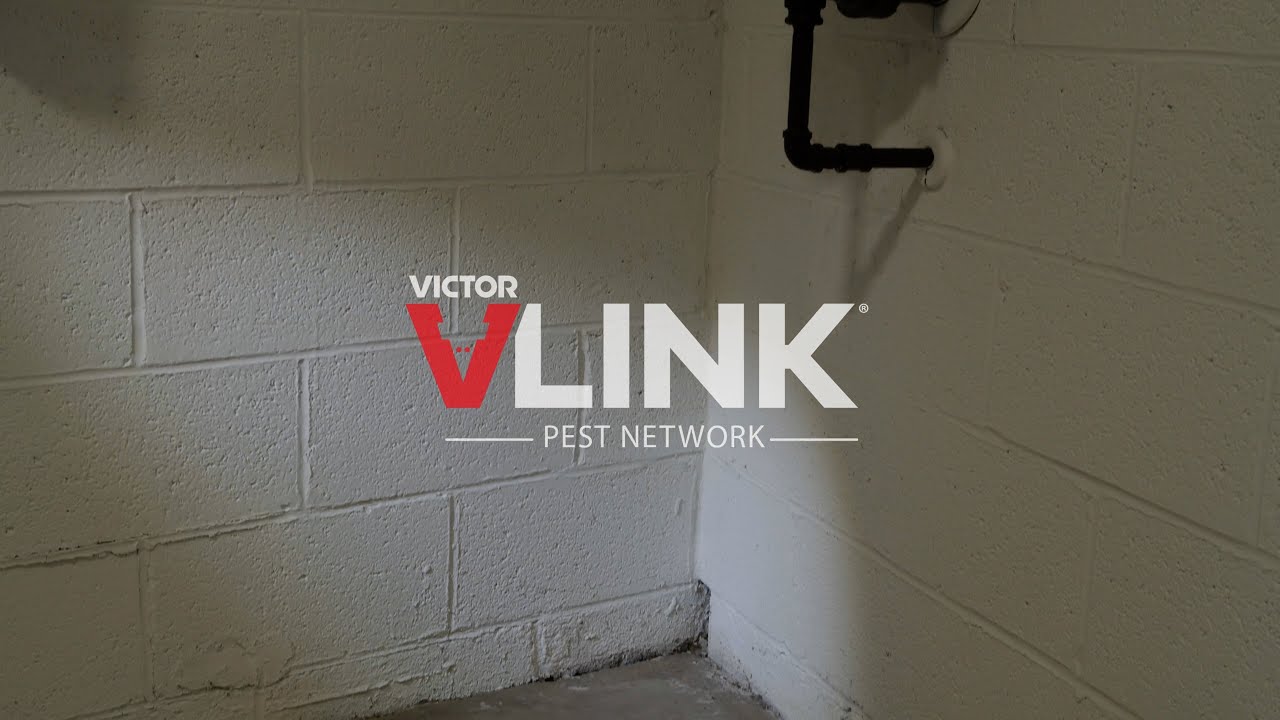 VLINK® Power-Kill PRO® Snap Traps | Getting Started