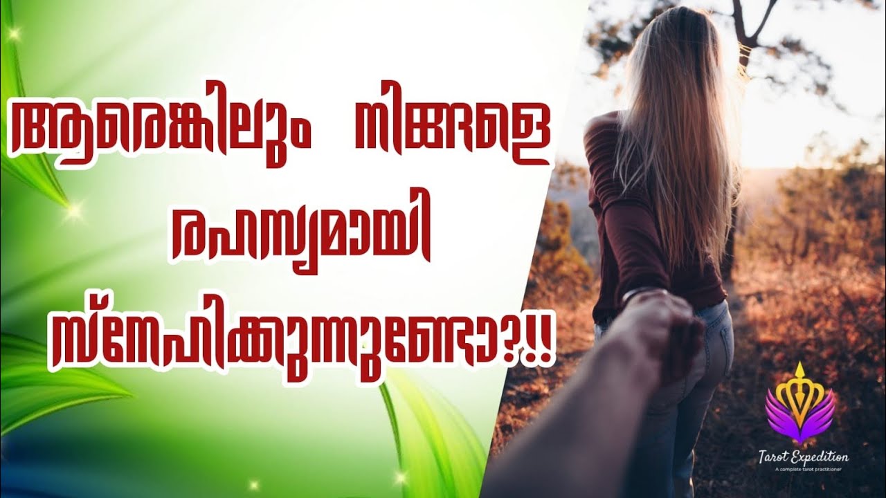 ആർക്കാണ് നിങ്ങളോട് CRUSH 🥰 🥰 ആരെങ്കിലും നിങ്ങളെ രഹസ്യമായി ........... ?#മലയാളം # tarot