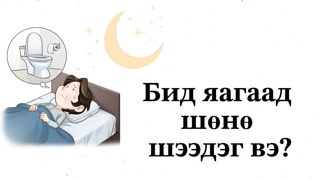Бид юунаас болж шөнө шээдэг вэ? 