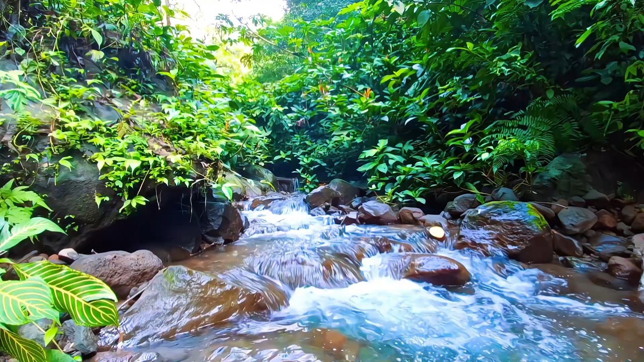 River Ambience for Night Healing