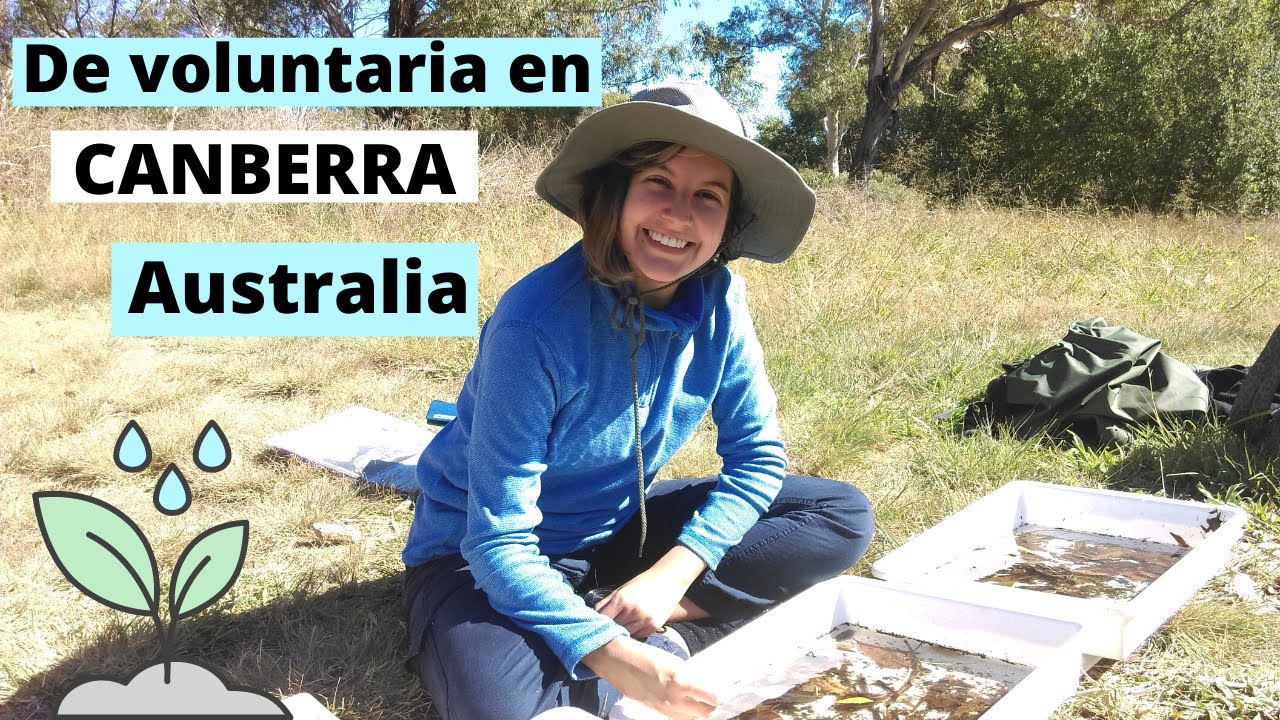 Conoce acerca de un VOLUNTARIADO en Australia, Waterwatch ACT | Ingeniera ambiental en Australia