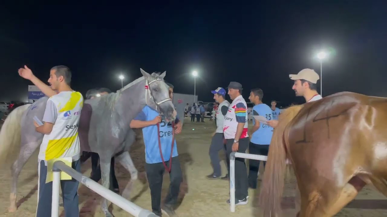 بطولة ختام الموسم للقدرة والتحمل في الكويت🇰🇼 تاريخ ٢٦ / ٤ / ٢٠٢٥