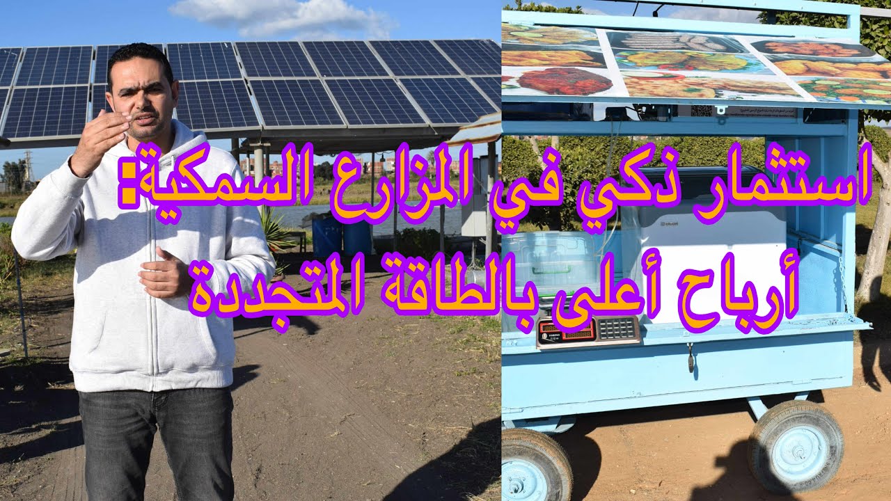 الطاقة المتجددة في المزارع السمكية طريق الربح المستدام وتقليل التكاليف